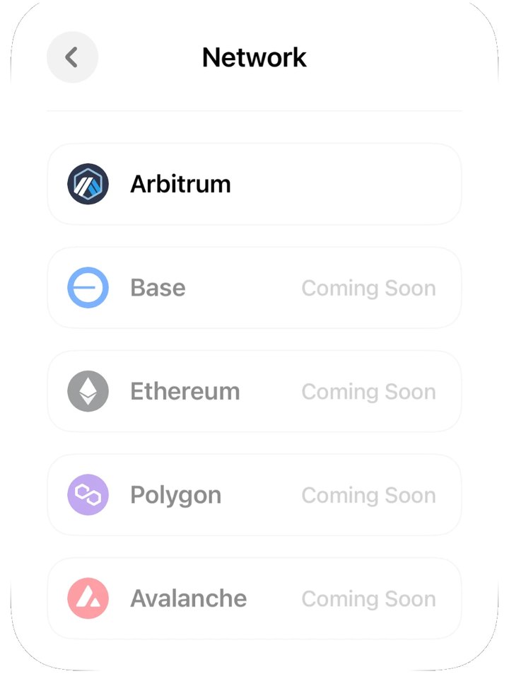 ネットワークの選択画面。Arbitrum以外はComing Soon